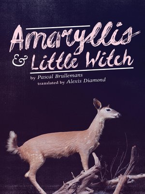 cover image of Amaryllis & Little Witch